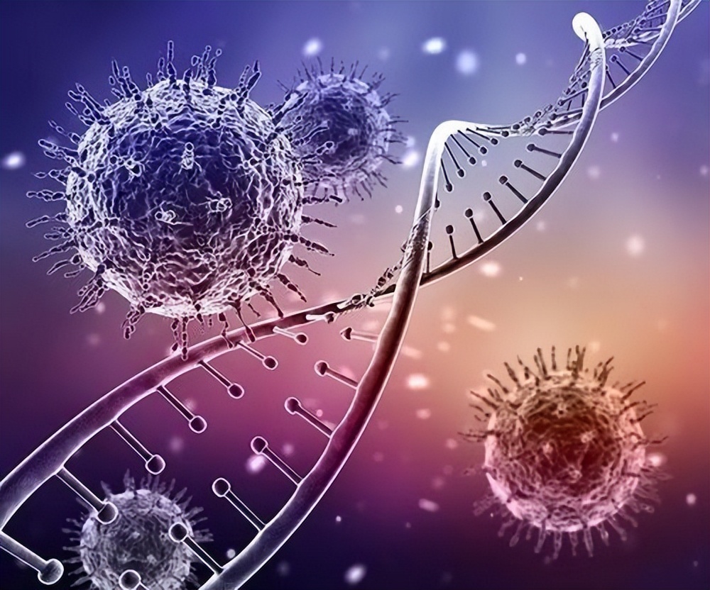 肝的作用和功能是什么,肝美健功效与作用