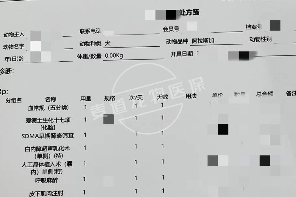 狗狗眼睛是恶魔之眼,狗狗眼睛是玻璃眼