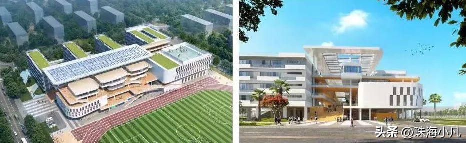 珠海大行动最新消息,珠海最新大事