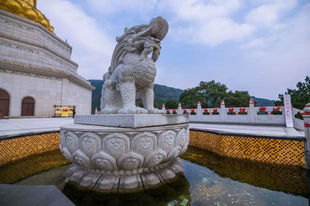 太湖西山岛旅游团建民宿,苏州西山岛一日游团建