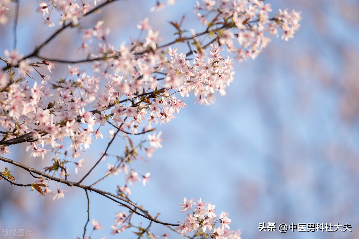 一年四季手脚冰凉男性,一年四季手脚冰凉怎么治疗最有效