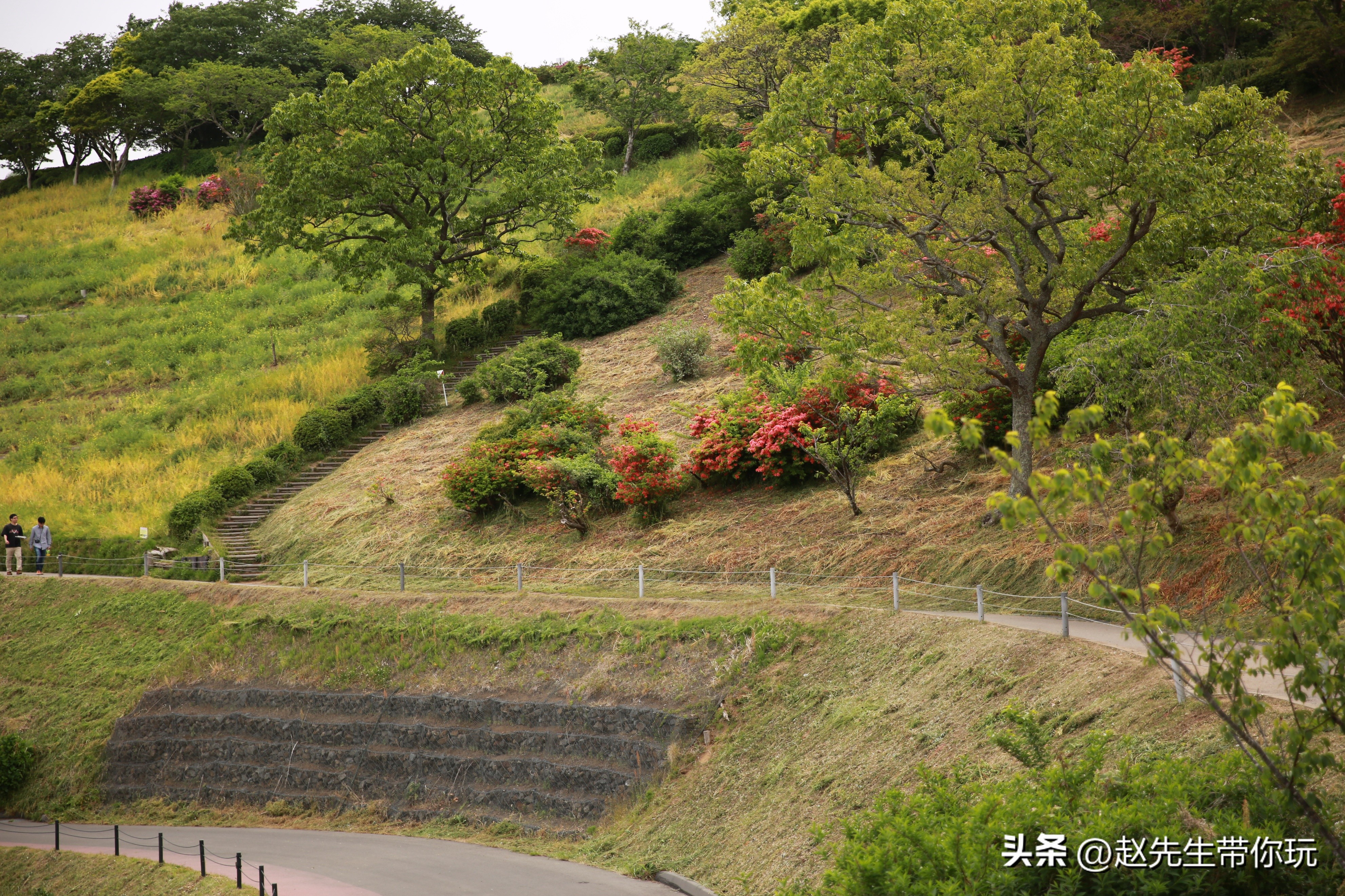 20年旅行总结,二十年游历分享