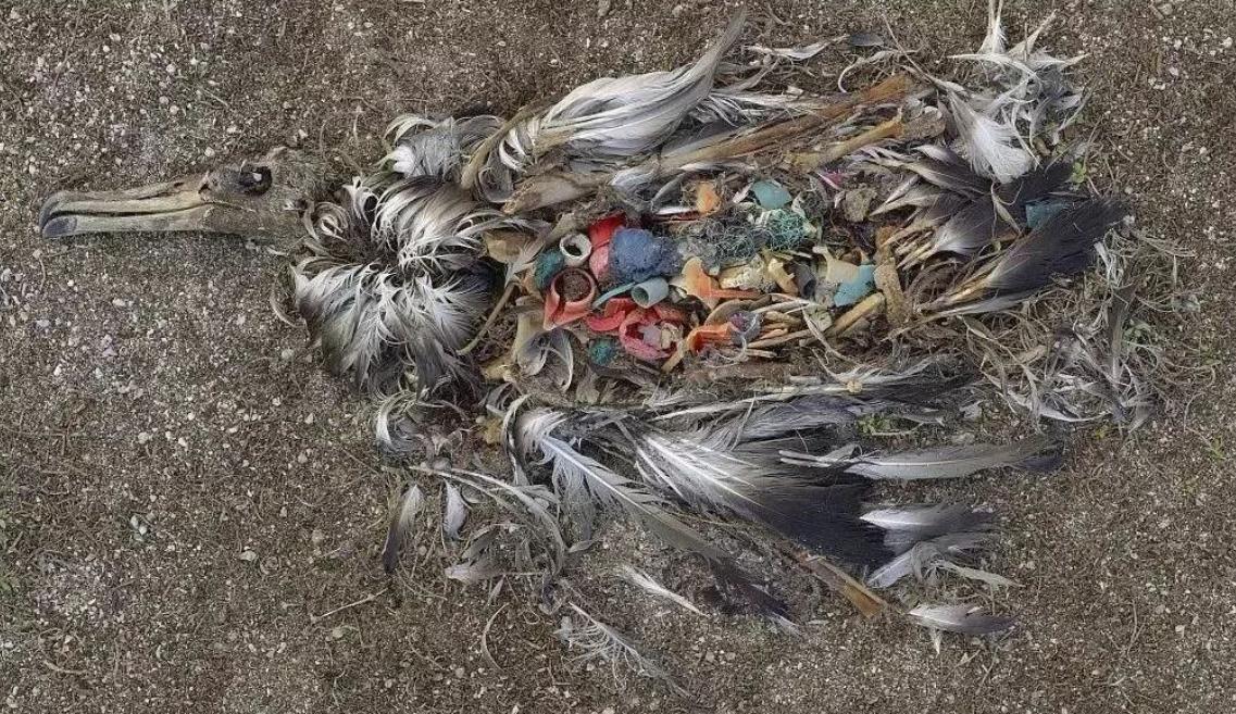 太平洋有多大视频,太平洋和大西洋面积多大