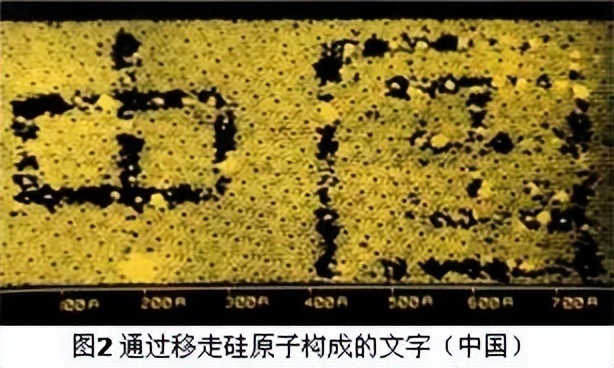 科学知识大全小学生必背,科学知识大全全集