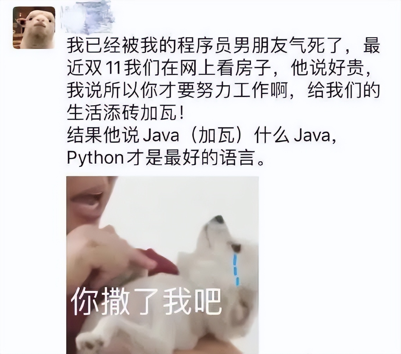 神回复女友,神回复女朋友的标准是什么