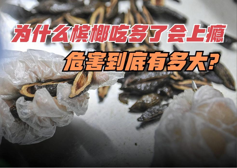 槟榔危害科普,槟榔危害性有多大安全性又有多大