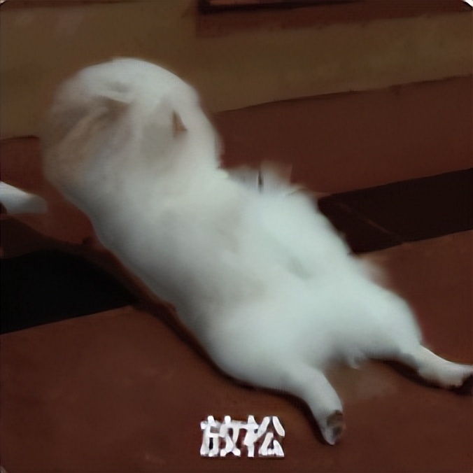 2021年填报志愿秘籍精华,2022填报志愿的方法和技巧