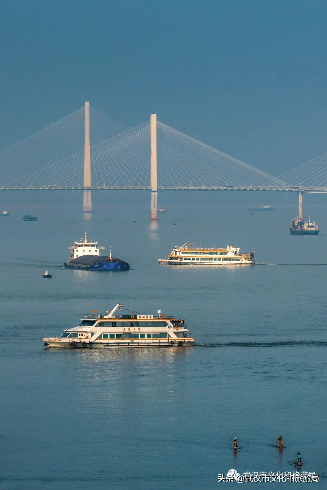 来武汉一定要去一趟东湖看荷花,来武汉看樱花吧
