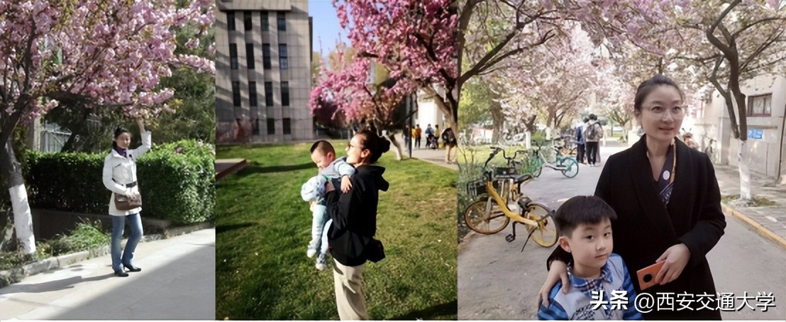 “春见”仙交，樱寄情思