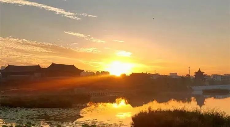 菏泽牡丹节赏花攻略,菏泽春日赏花攻略