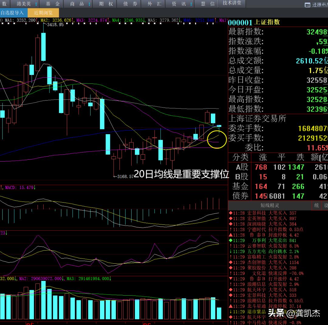 股市午评热点降温两市,午评股市板块走向