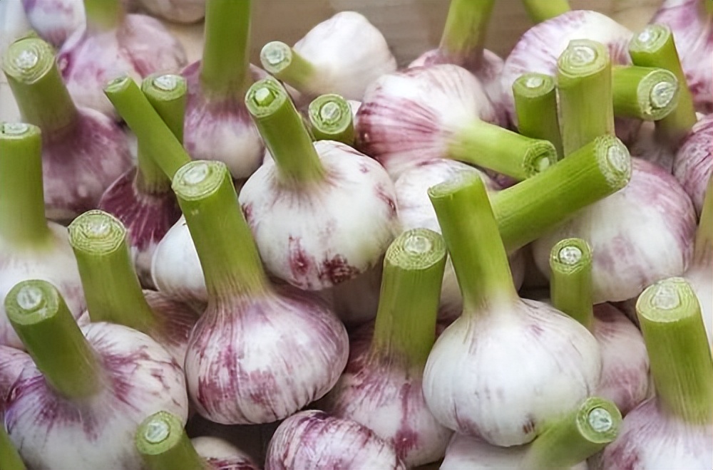 坚持每天吃大蒜对身体有什么影响,坚持吃大蒜的人身体会有哪些变化