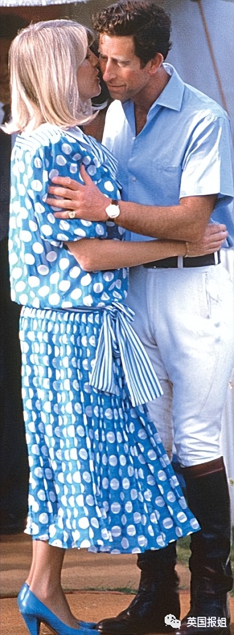 查尔斯另一个结局是什么,查尔斯和戴安娜斗争