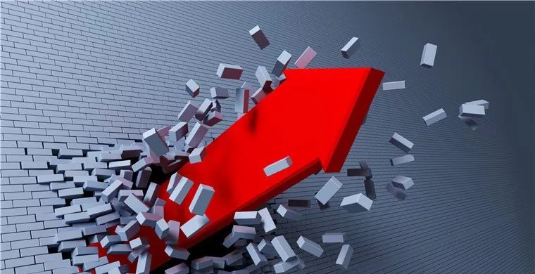 赛维公司的品牌,赛维2020年销售额