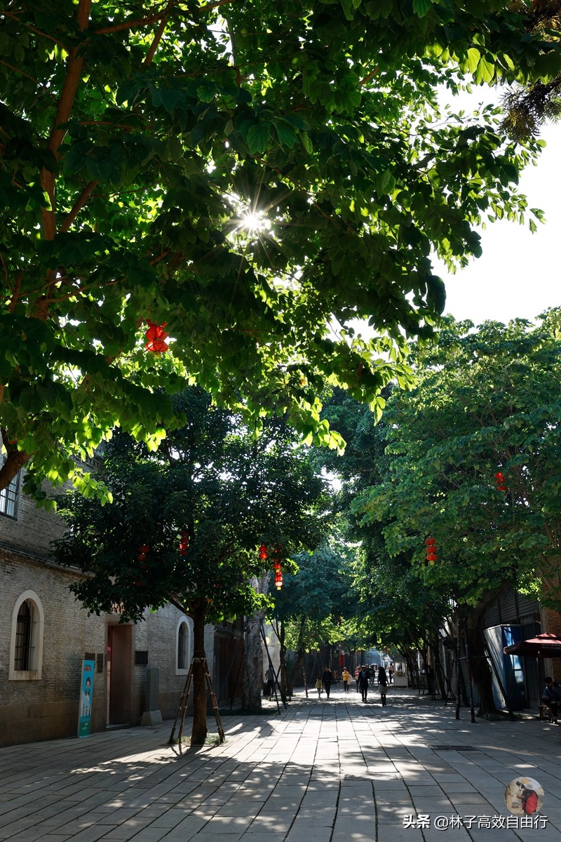 福州有哪些特色玩的,福州市区游玩攻略