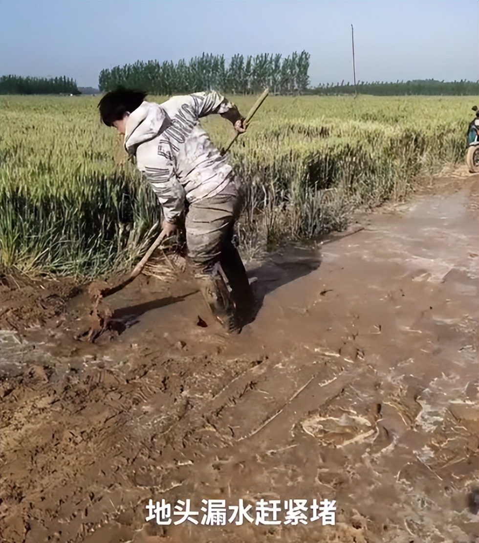 山东小伙靠“三脚猫功夫”走红，获赞乡村洪金宝，网友为啥半服？