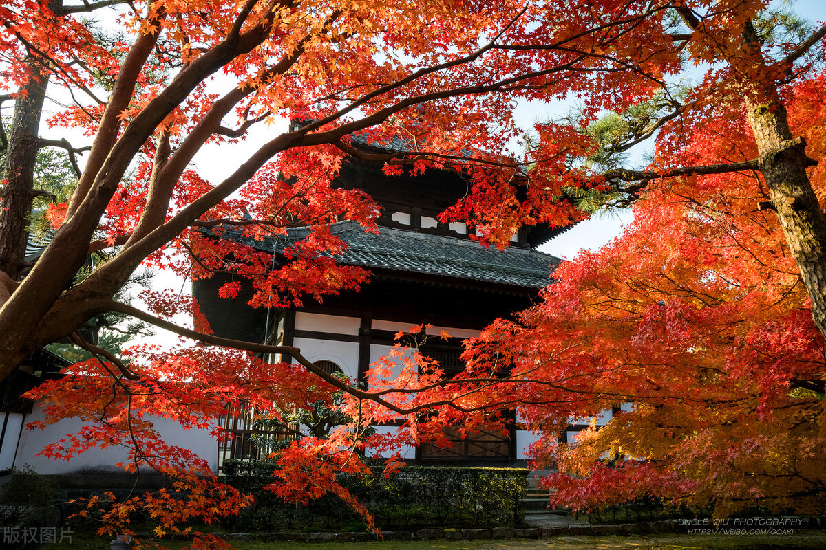 为什么日本是用卫生纸最多的国家?来看日本人的使用习惯和文化