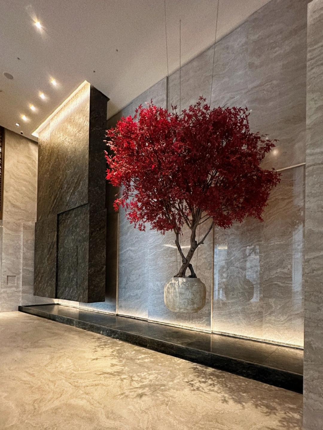 杭州康莱德酒店大厅效果图,深圳康莱德酒店拍摄