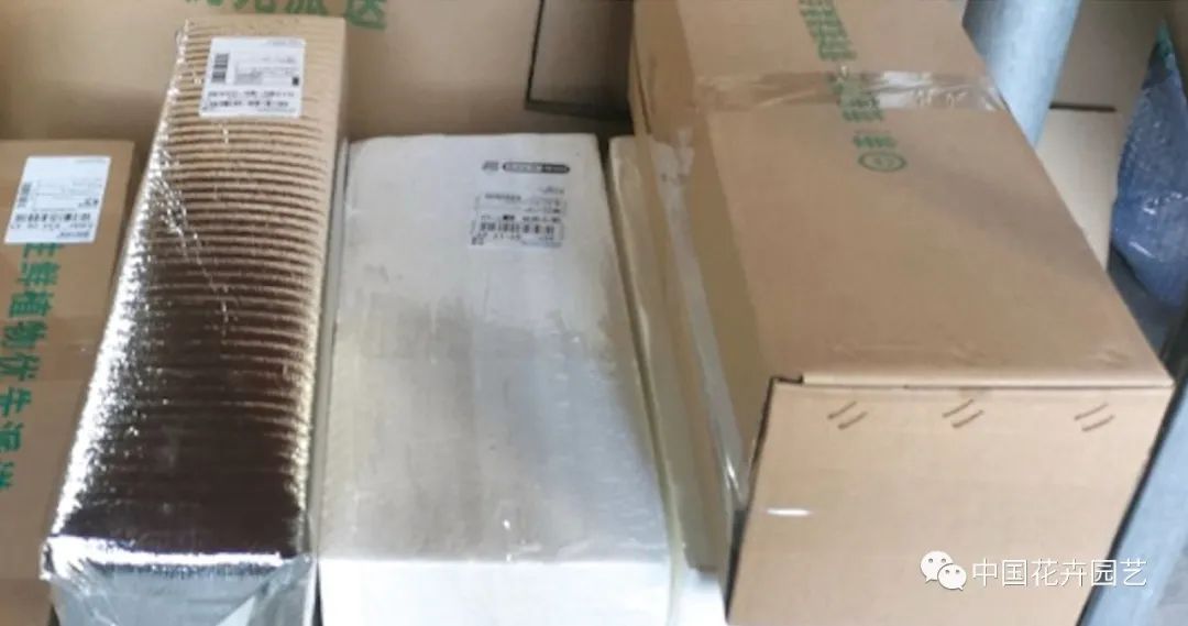 花卉电商推广如何做最有效,花卉销售渠道及方法