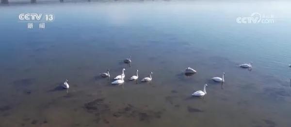 锦州南山旅游攻略,锦州溜达的好去处