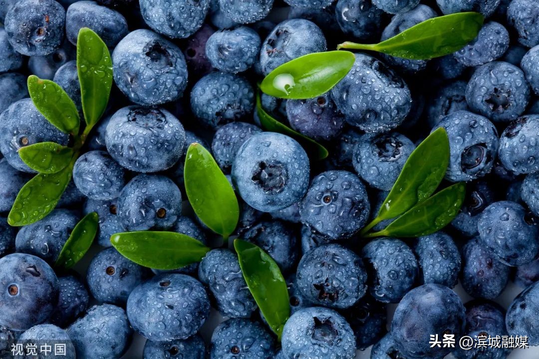 每天吃一盒蓝莓,每天吃多少蓝莓对眼睛有益