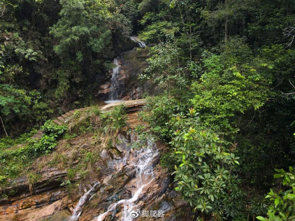 自然保护区志愿者申请,生态文化保护志愿者招募