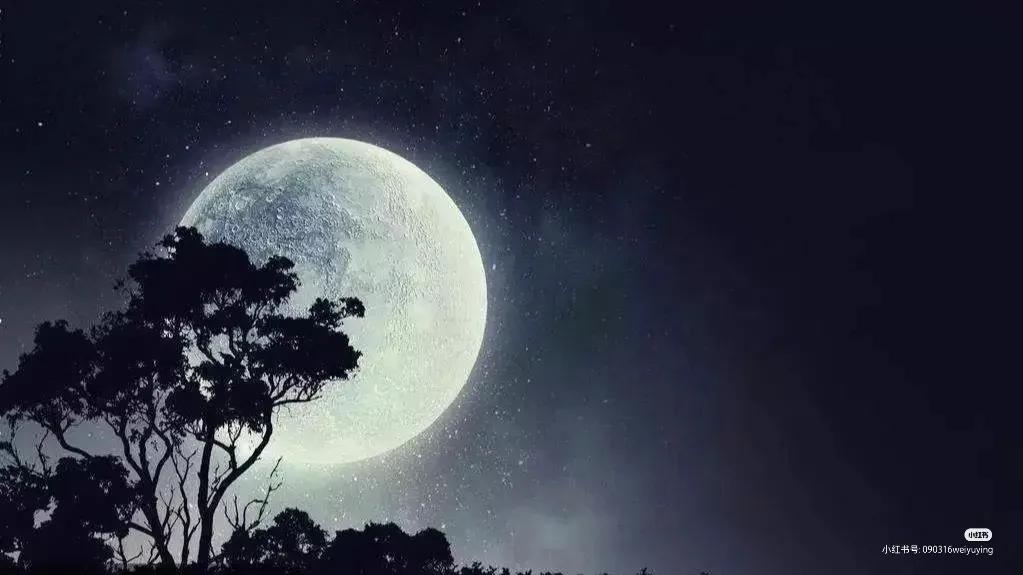 诚信立人品,诚信立人踏实做事