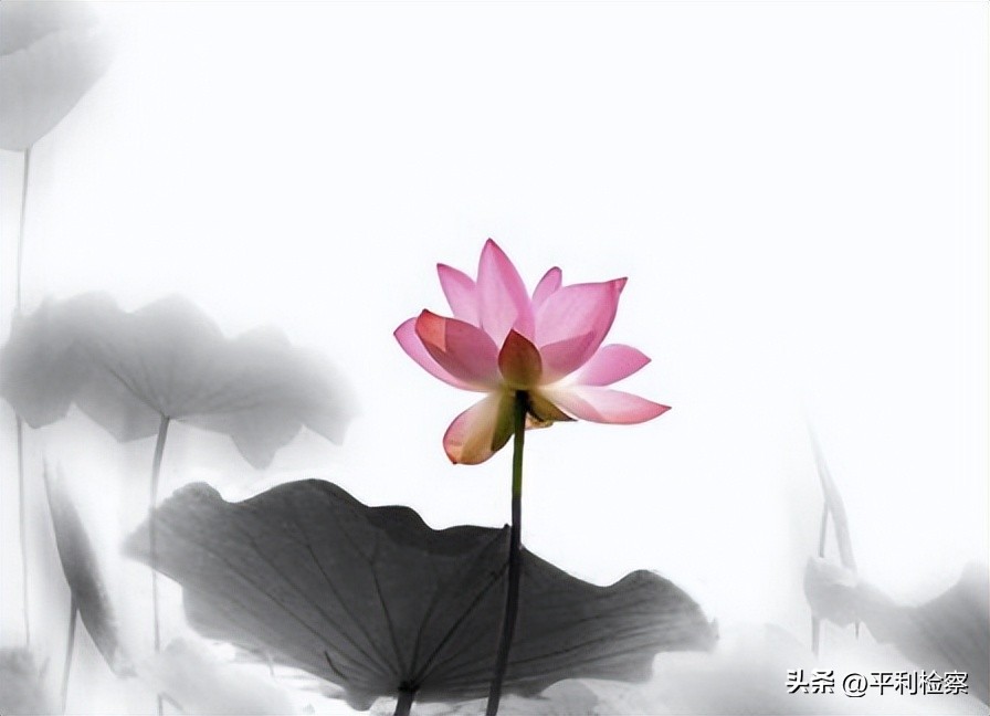 高中文化常识归纳语文,语文常识大全值得收藏