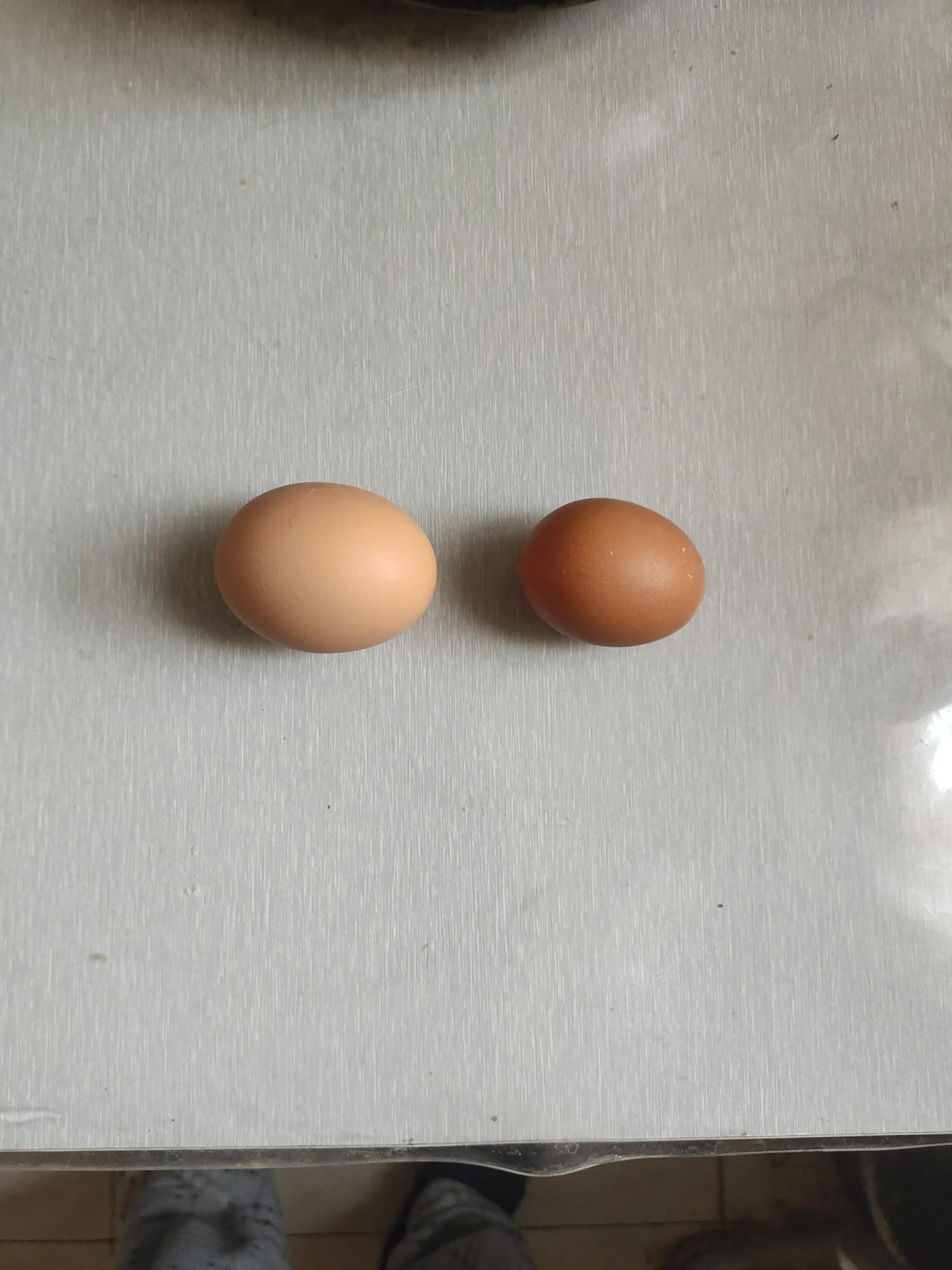 多多买菜明目张胆的骗局没人管吗,多多买菜邀请供货是骗局吗