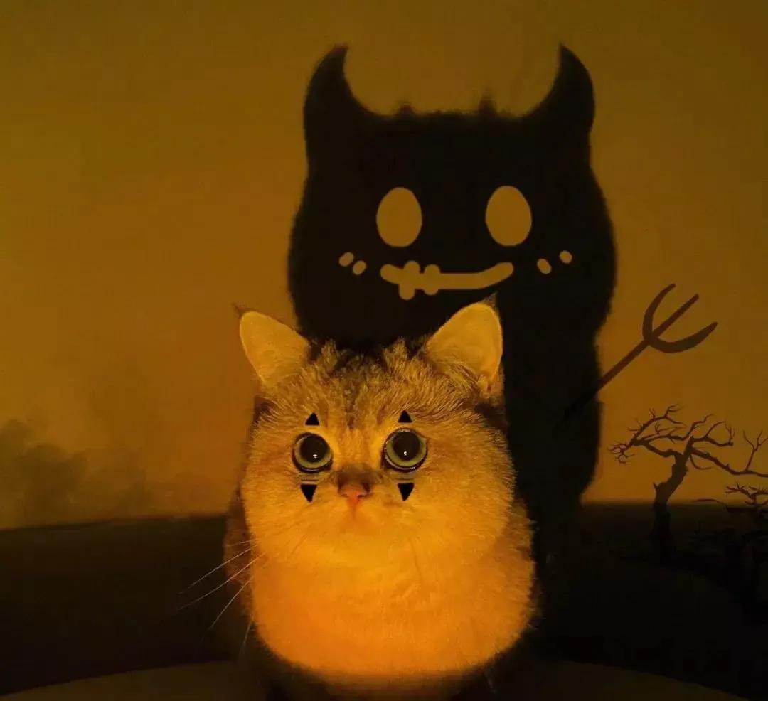 霞飞路上小公馆·之内宅恶斗(下)