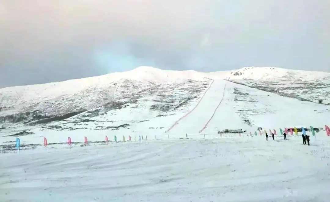 三月的春光孕育着勃勃生机,三月的春光无限美