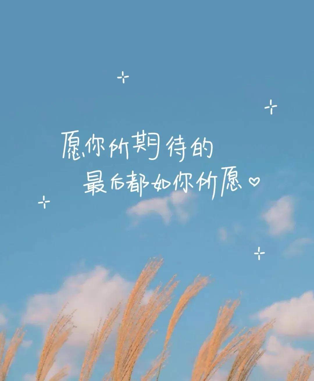 歌词文笔特别好的歌,意境极高的经典歌词