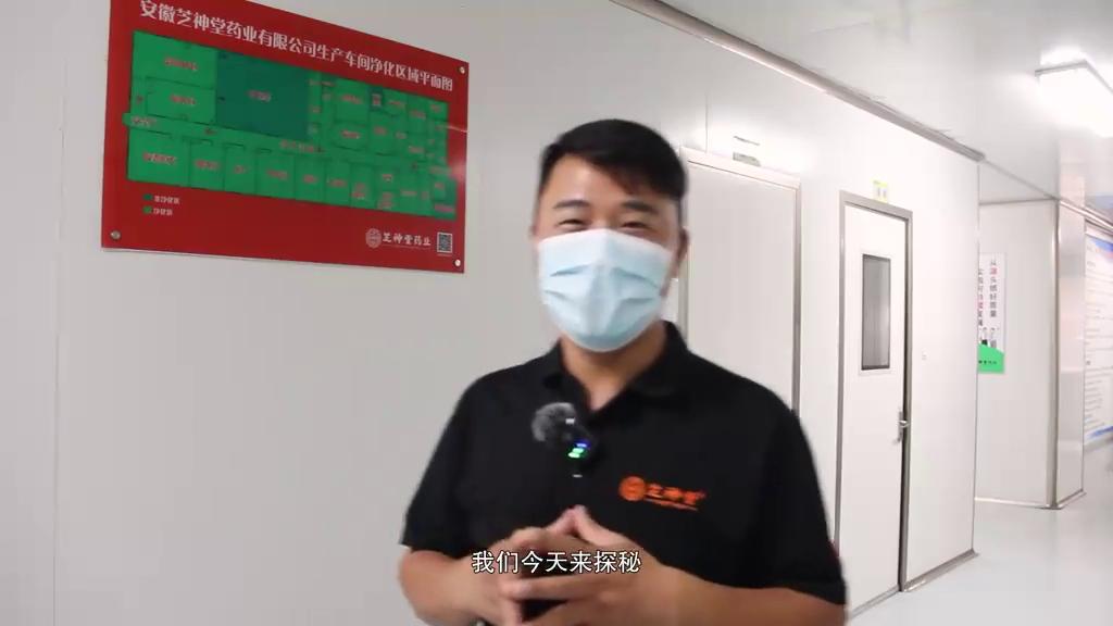 一种鲜活灵芝孢子粉的破壁方法,优质灵芝破壁灵芝孢子粉