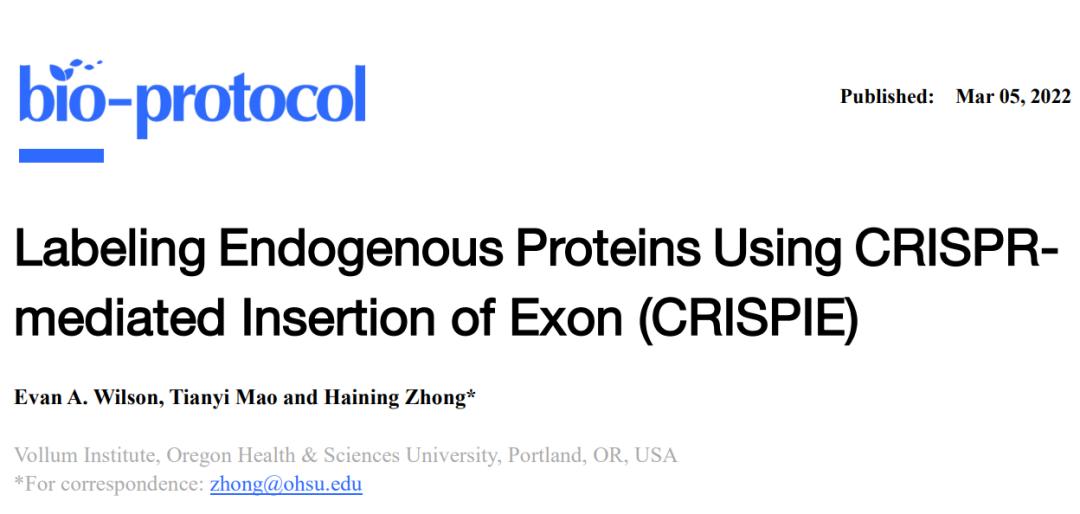 crispr蛋白质定位,crispr蛋白质