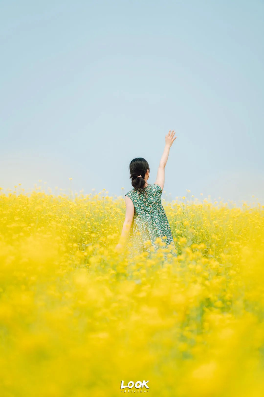 北京居庸关花海栈道,北京四季花海景区