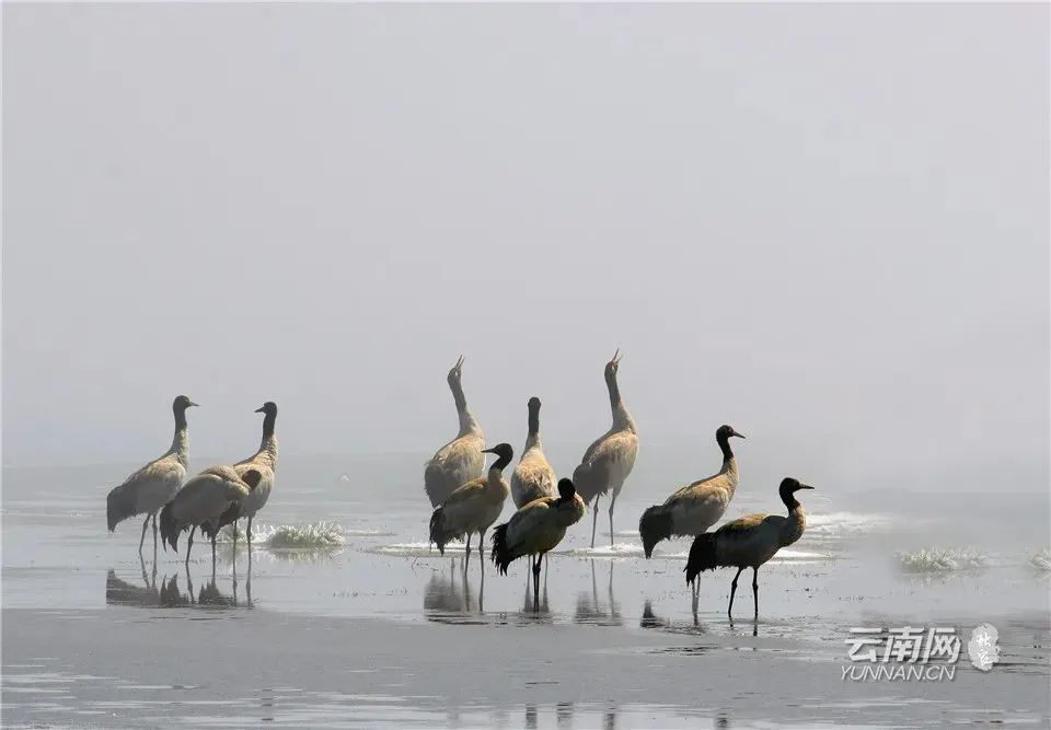 昭通大山包一览众山,昭通市昭阳区大山包乡