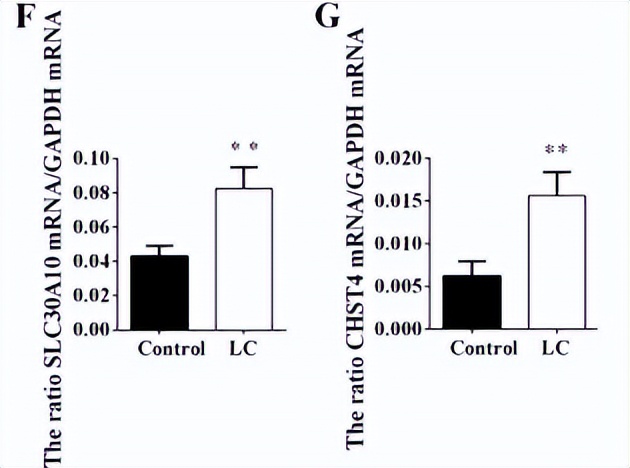 浣庨挋楗叉枡,浣庨挋鏃ョ伯