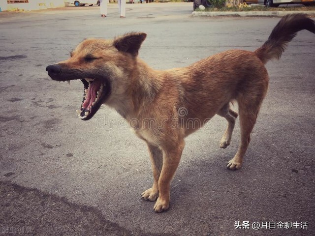 装修、广场舞、直播这些人为噪音制造者，请选择做个良善之人