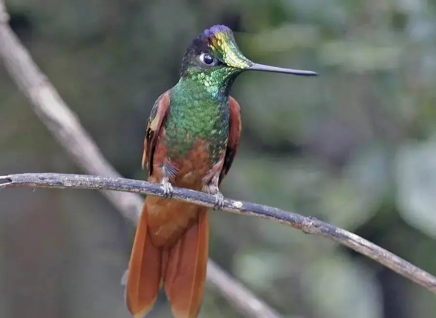中国以前的足球有多厉害,趣知识科普