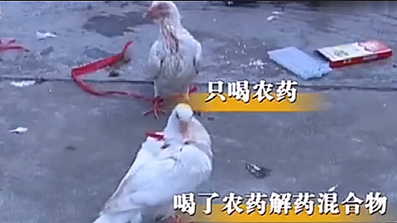 湖南男子身怀神奇解毒术,乡村教师自学中医为孩子以身试药