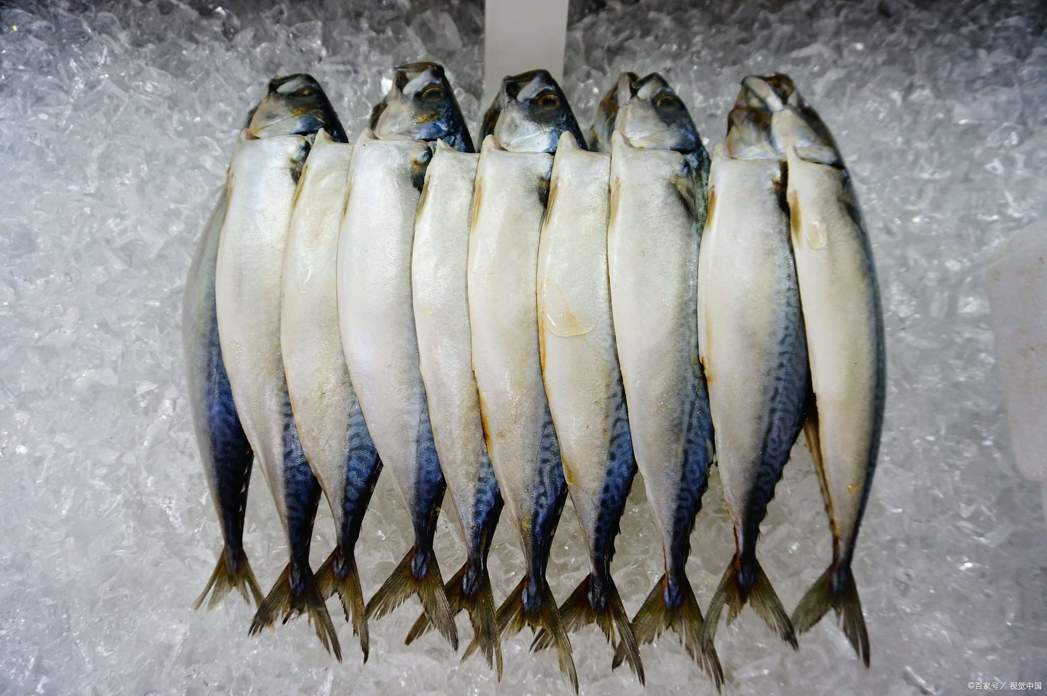 广东珠海特产好吃,珠海十大名菜芝士香蚝