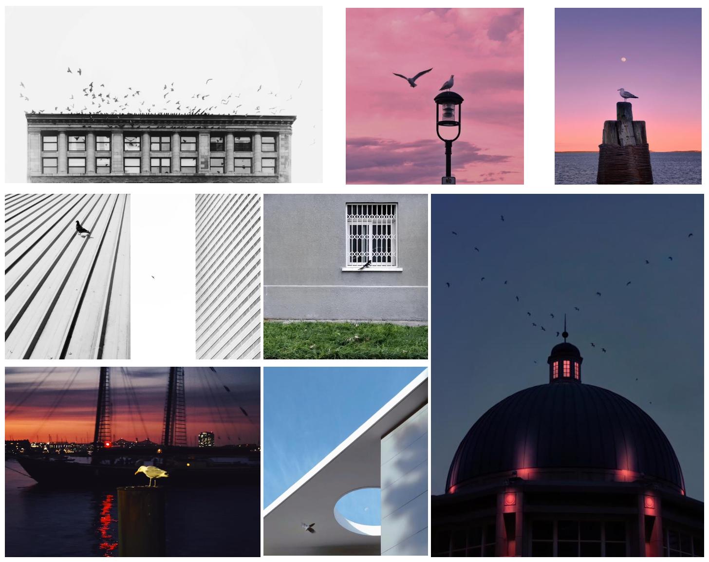 vivo2022摄影大赛,全国vivo手机摄影大赛