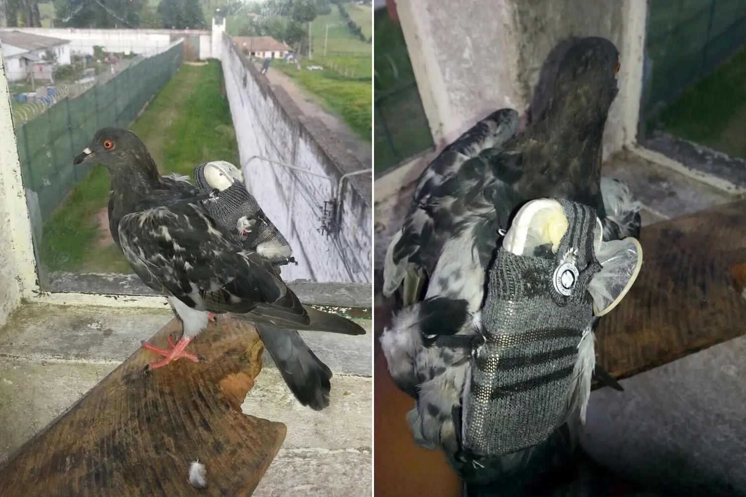 12种奇葩行为,十种奇葩的行为