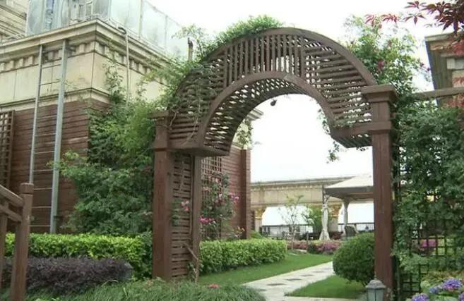 张庭卖惨视频,张庭需要赔钱吗