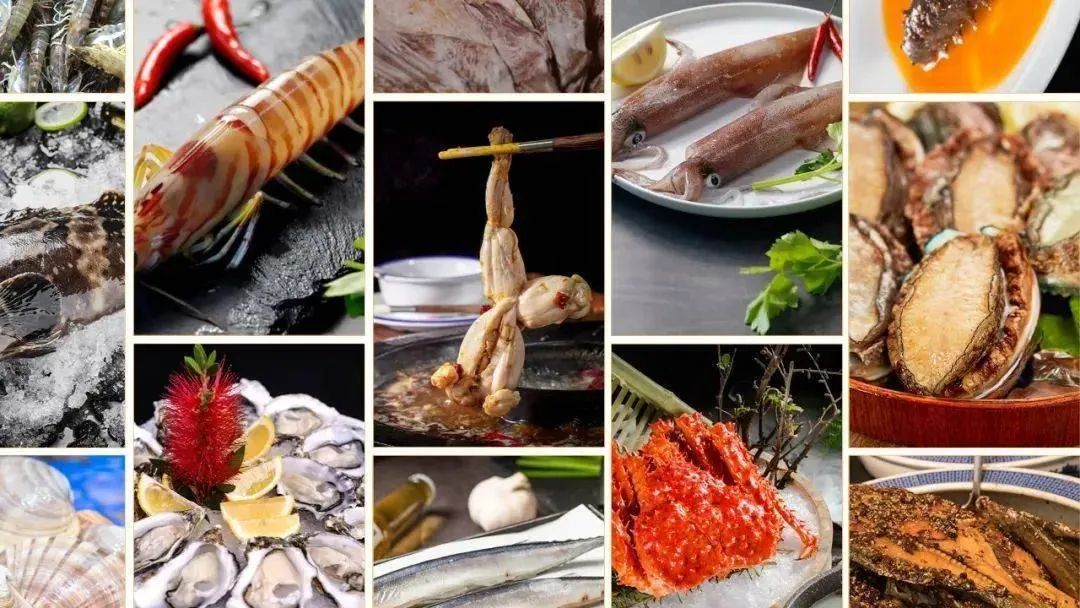 全球海鲜贸易节在哪里,全球海鲜贸易节在哪