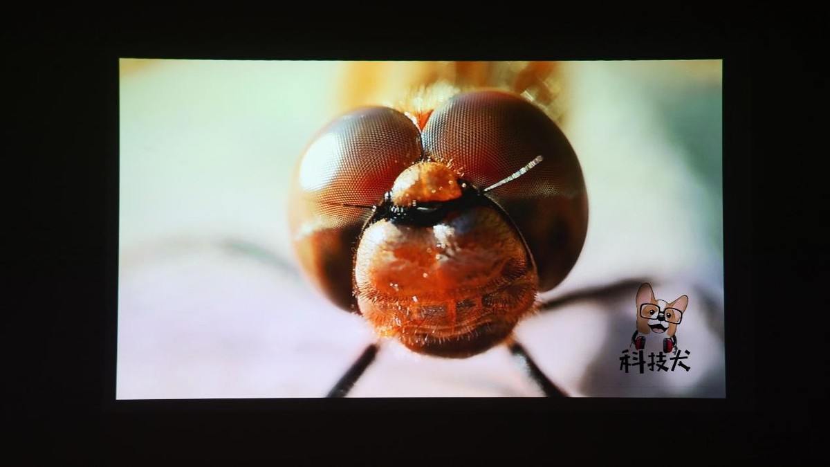 联想小新520投影仪观影效果,联想小新520投影仪测评