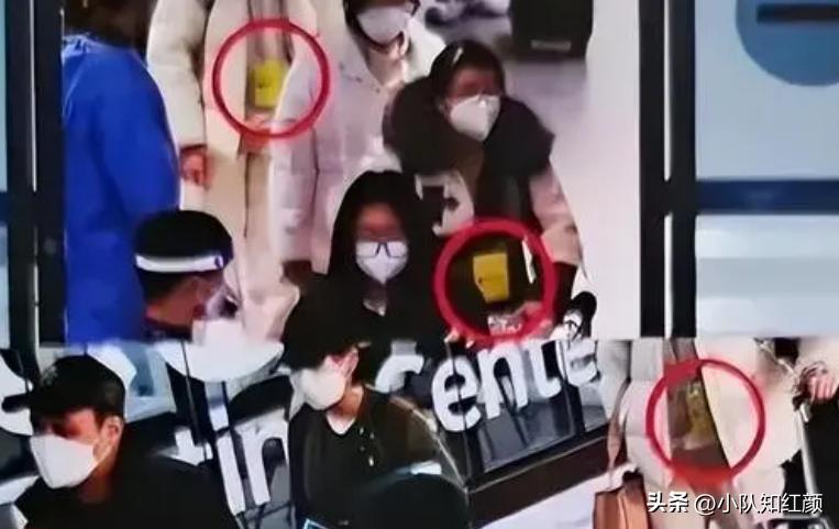 挂黄牌为什么还有人去韩国 (挂黄牌后韩国要付出多大的代价)