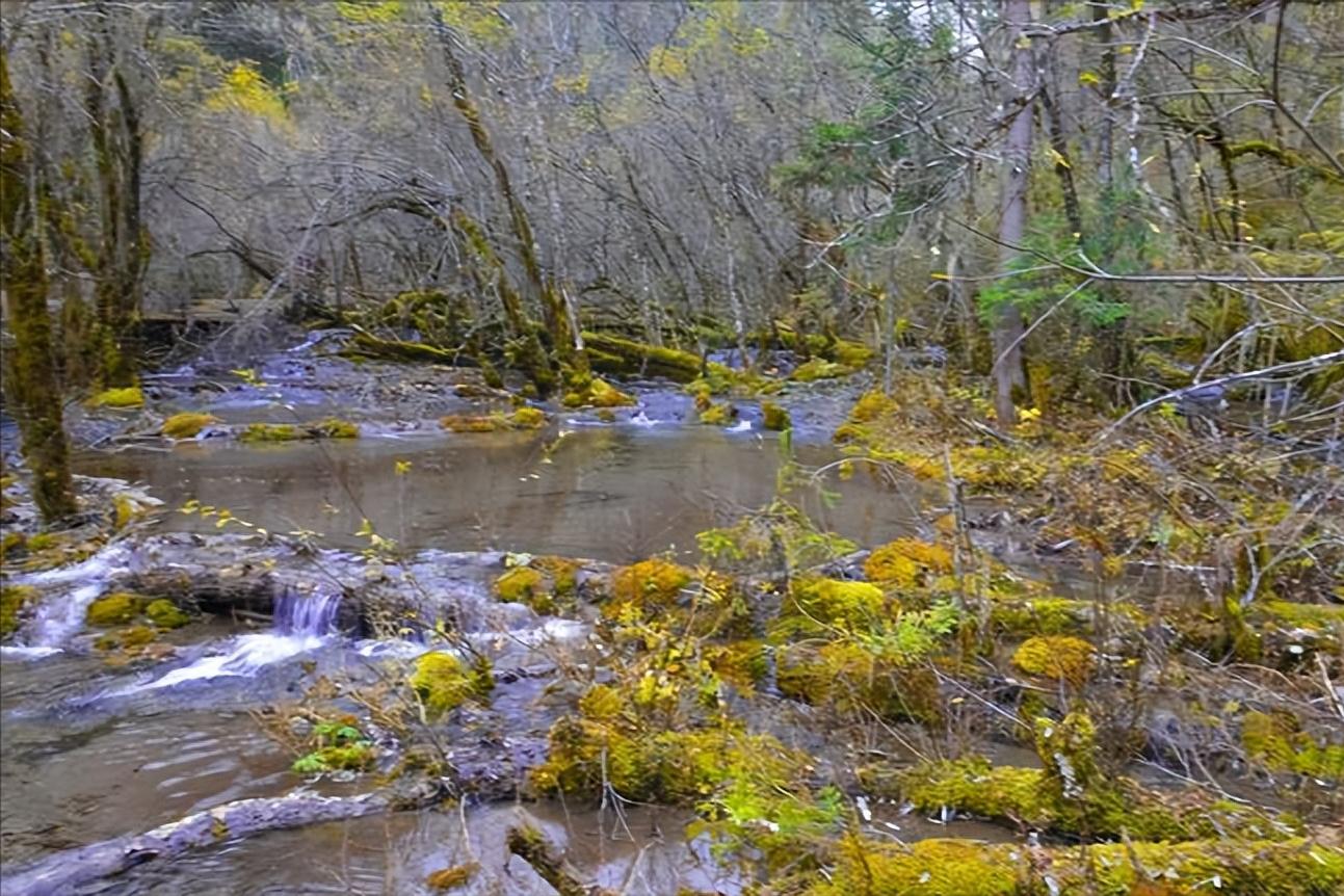 卡龙沟景区有什么好玩的,卡龙沟穿越松潘