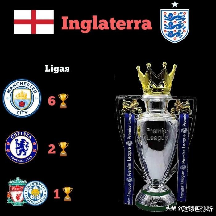 八大冠军夺冠视频,八大联赛排名