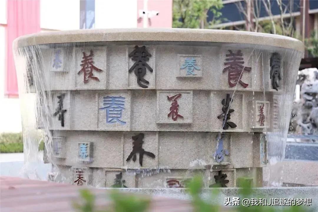 南京东山高级中学南站校区,南京东山高级中学能进去吗
